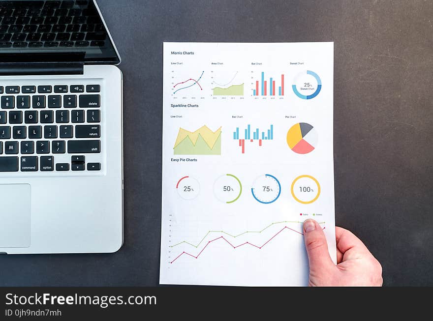 Person Holding Chart And Bar Graph