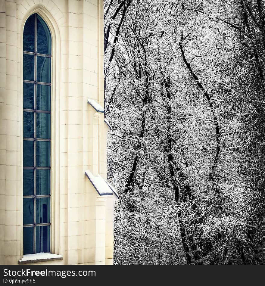 White Concrete House Near Tree