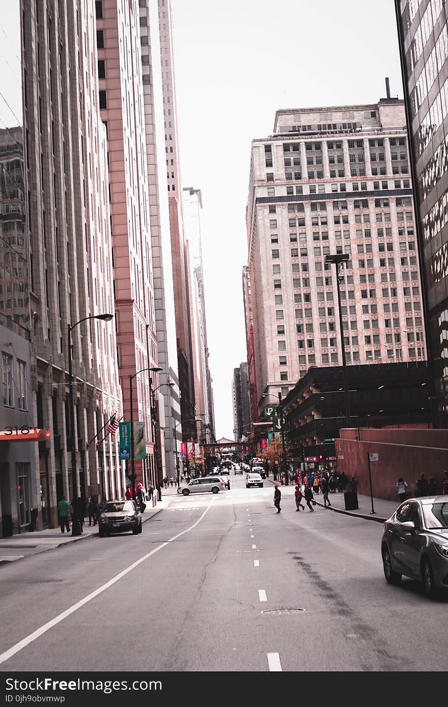 Photo of People Crossing Through Street in the Middle of Buildings