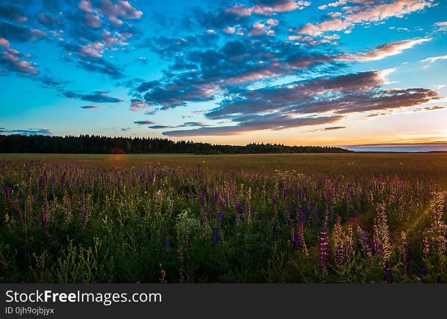 Green Meadows Near Mountain Under Calm Sky