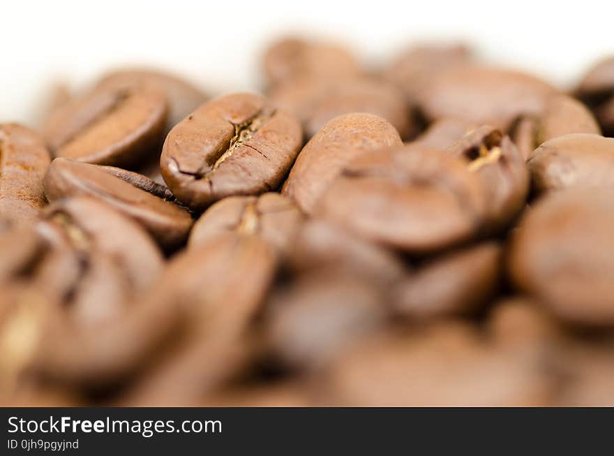 Closeup Photography of Coffee Beans