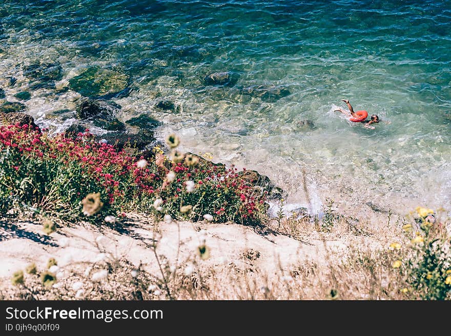 Person Swimming on the Beach Photography