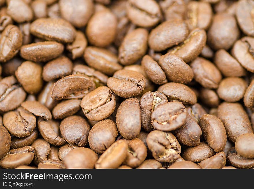 Coffee Beans