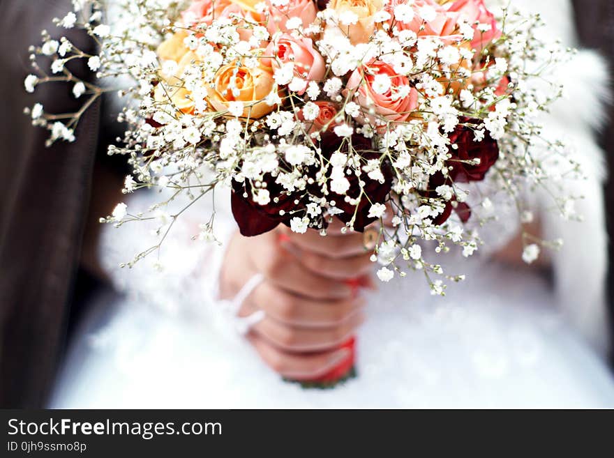 Person Holding Bouquet of Flower