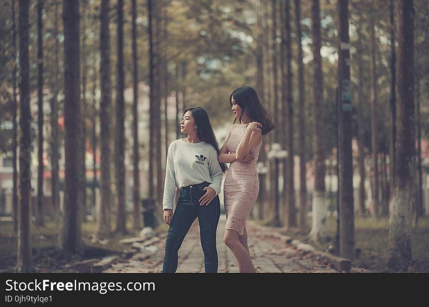 Two Woman Standing on Sidewalk Near Trees