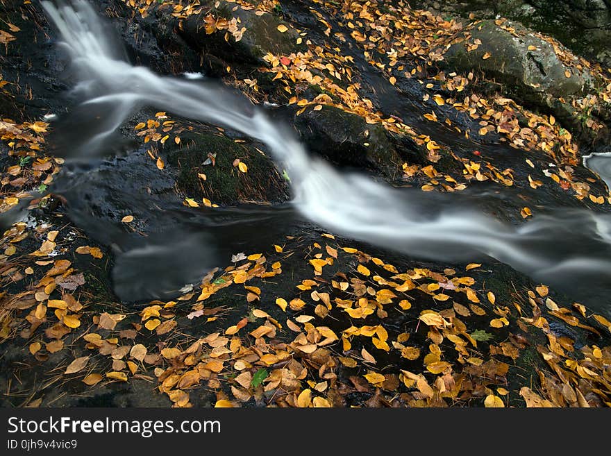 Falls on Black Stones