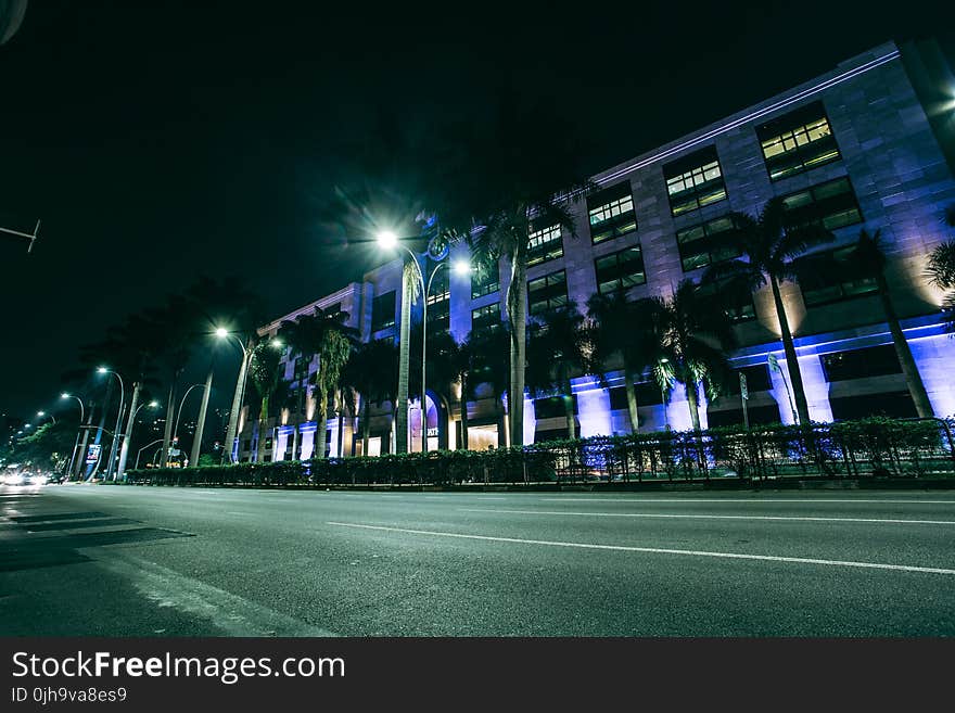 Green Palm Trees on Side Walk Near Gray Building at Nighttime