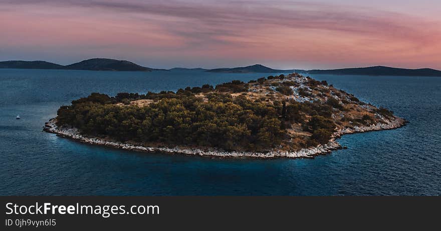 Island Covered in Trees Surrounded by Body of Water