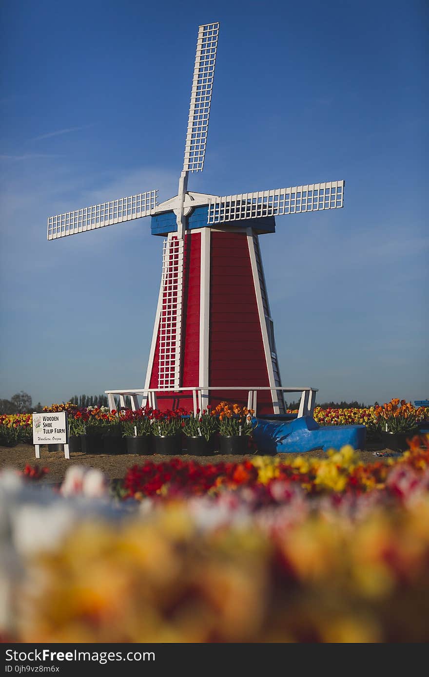 Red, White, and Blue Windmill