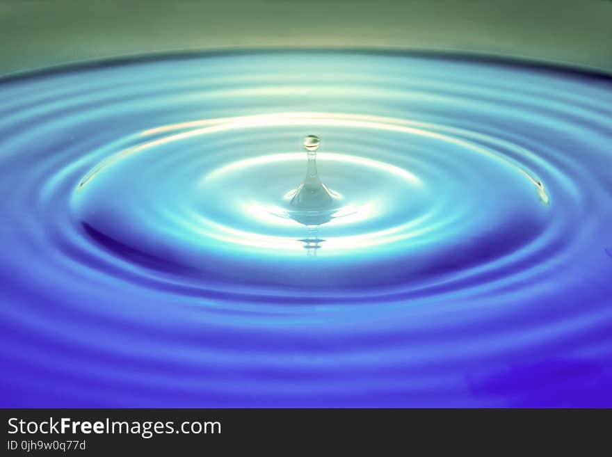 Macro Photography of Water Drop