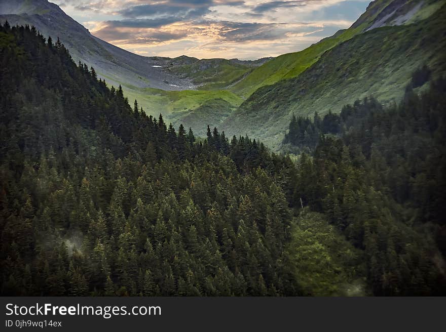 Photography Of Mountain Covered With Green Trees