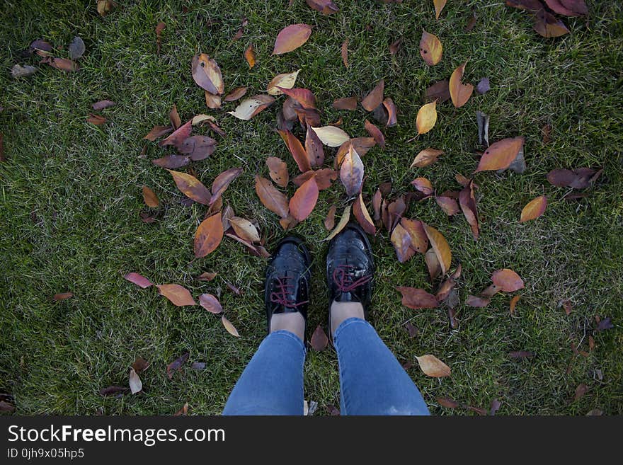 Person in Patent Black Low-top Shoes Standing Above Green Grass