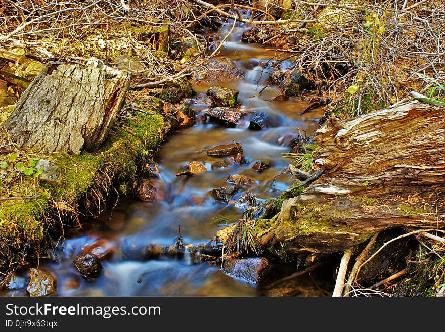 Water Stream on Creeks