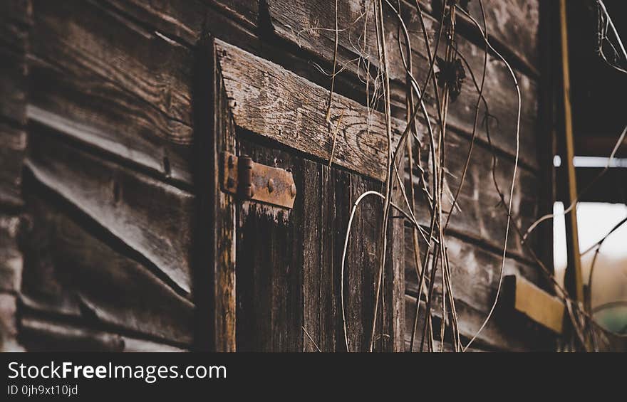 Close Up Photo of Gray Wooden Door