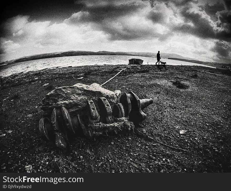 Gray Scale Photo of Seashore