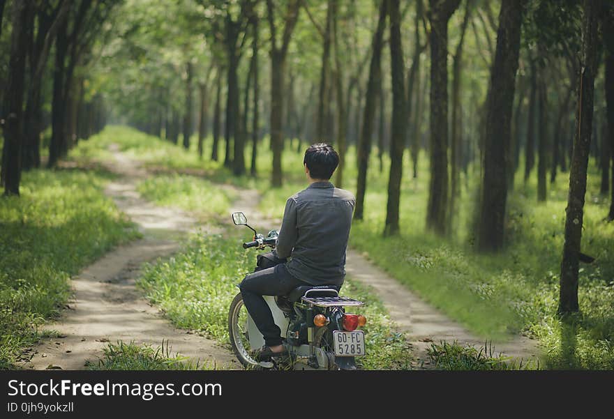 Man Riding A Moped