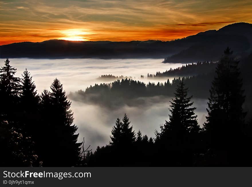 Silhouette Photography of Trees and Mountain