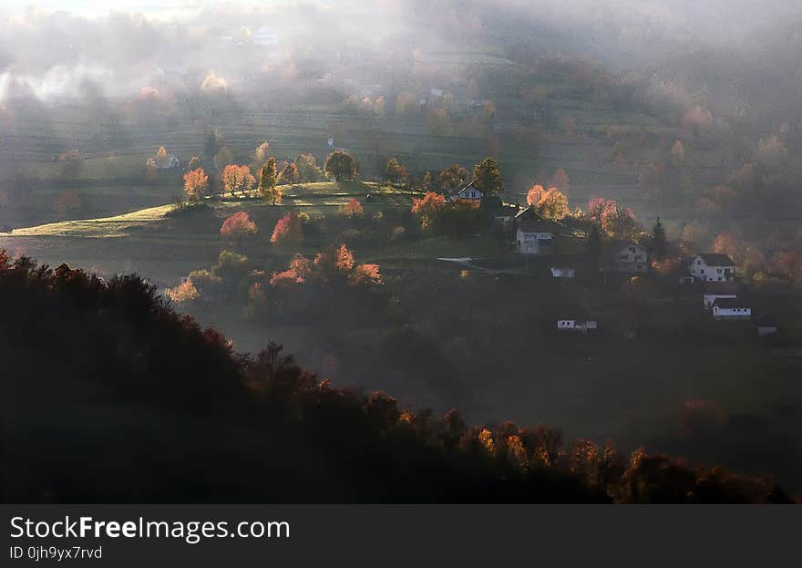 House on Green Hills With Trees Painting