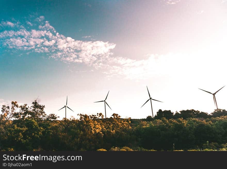 Windmill Near Green Trees