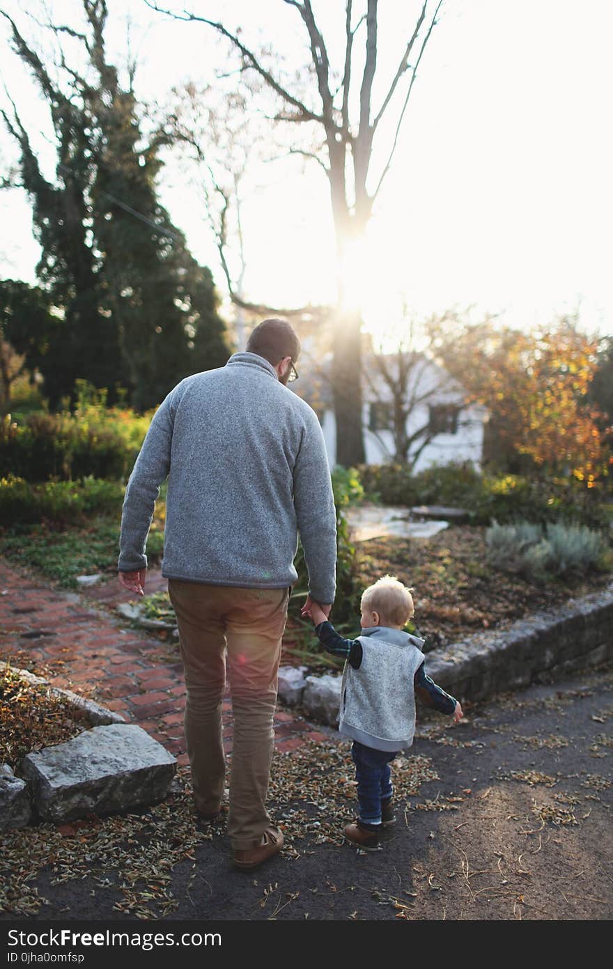 Man Holding Hands With Baby While Walking Through Pathway Facing Sunlight