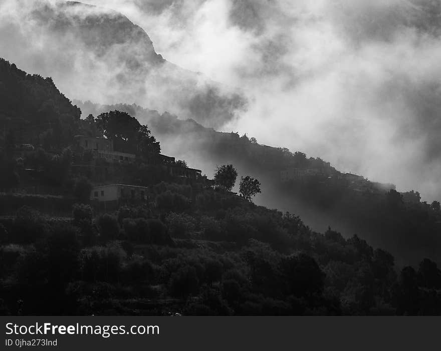 Landscape Grayscale Photography of Concrete Houses Surrounded With Trees