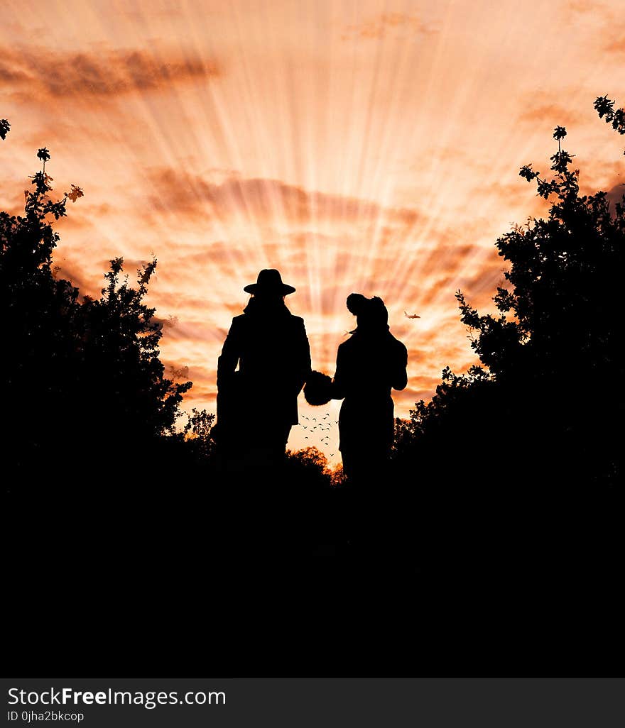 Silhouette Photo of Man and Woman Wearing Hat Standing Between Trees during Golden Hour