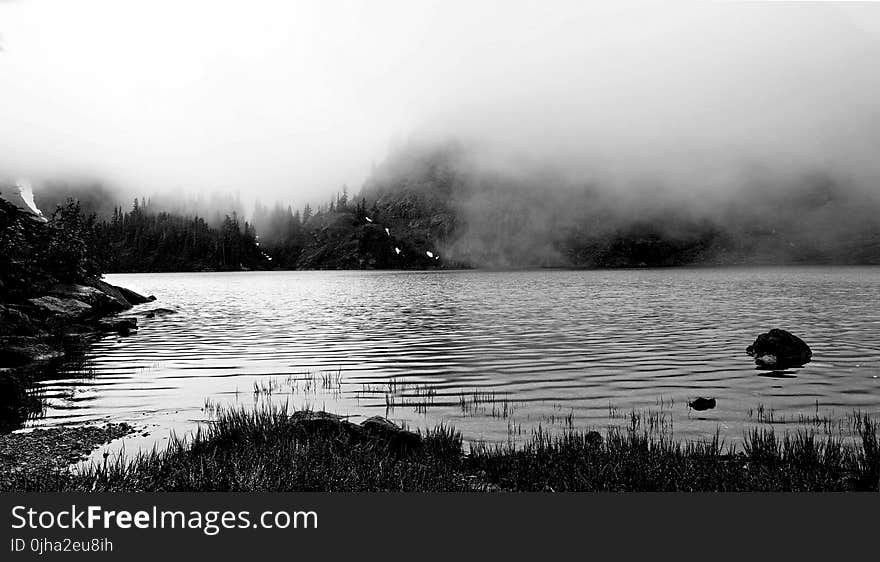 Gray Scale Body of Water