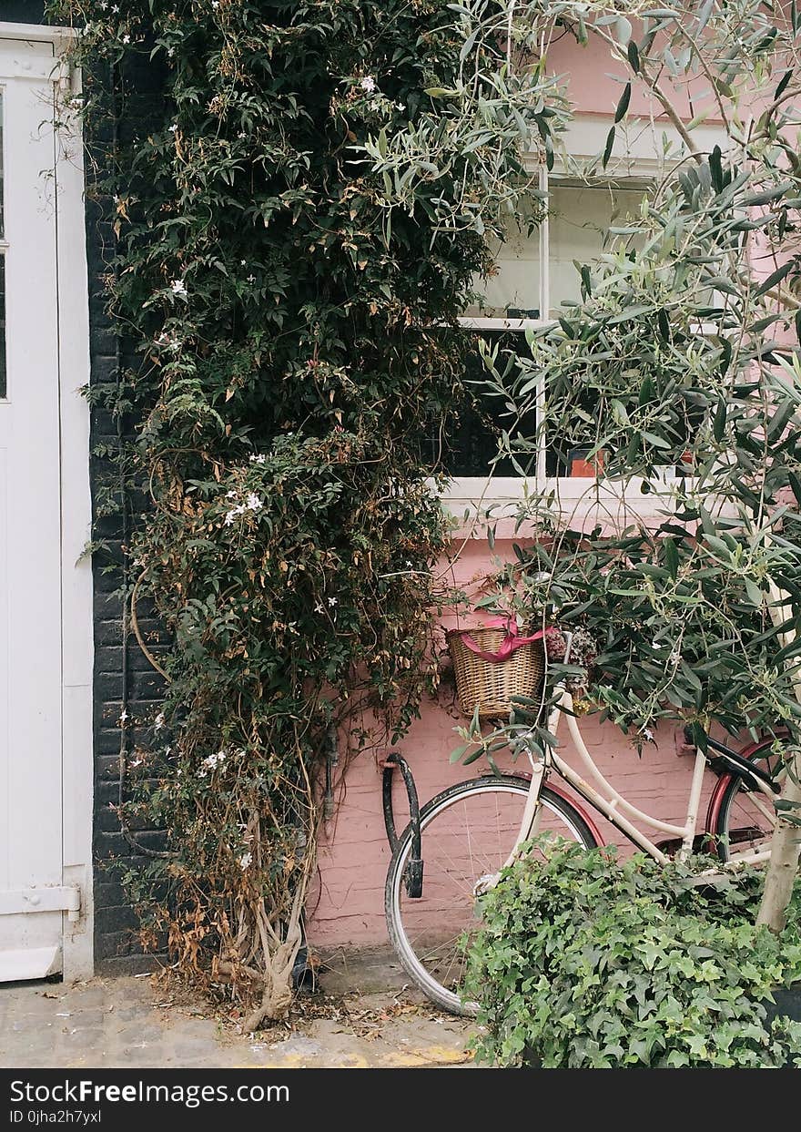 White and Black City Bicycle Near Green Leaved Plant