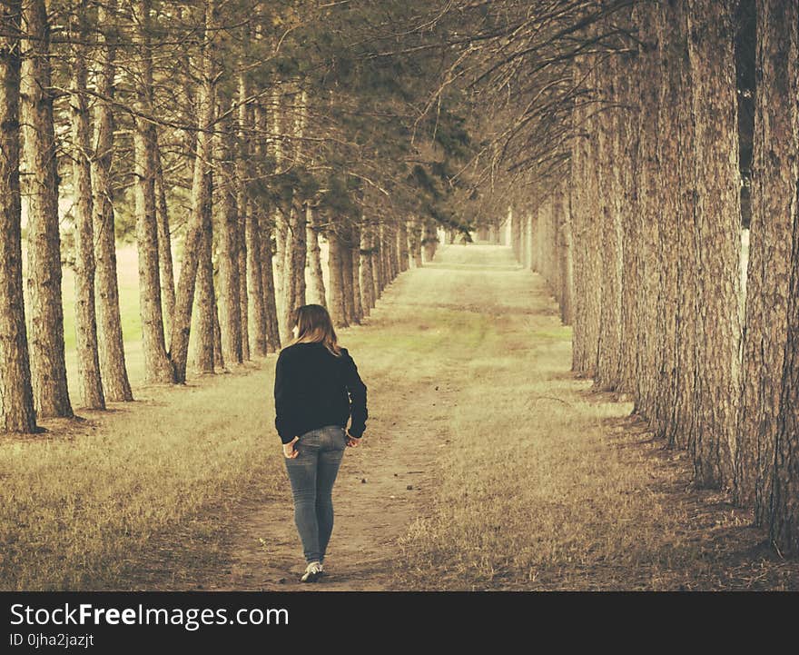 Woman Wearing Black Longsleeve and Gray Jeans Walking on Brown Forest