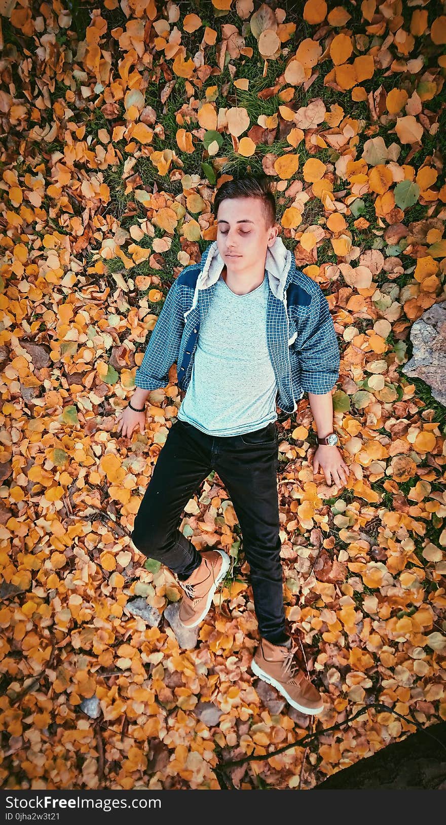 Closeup Photo of Man Lying on Brown Leaves