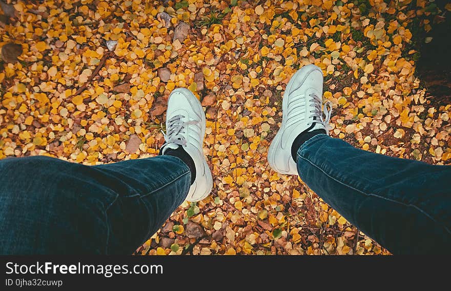 Person&#x27;s Wearing Blue Jeans and Pair of White Sneakers