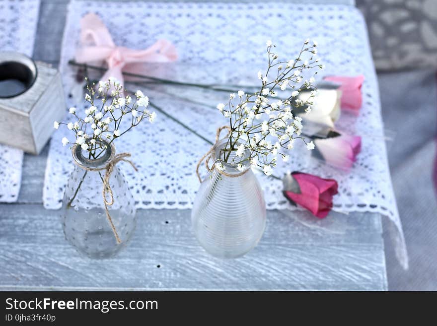 Two White Petaled Flowers With Glass Vases