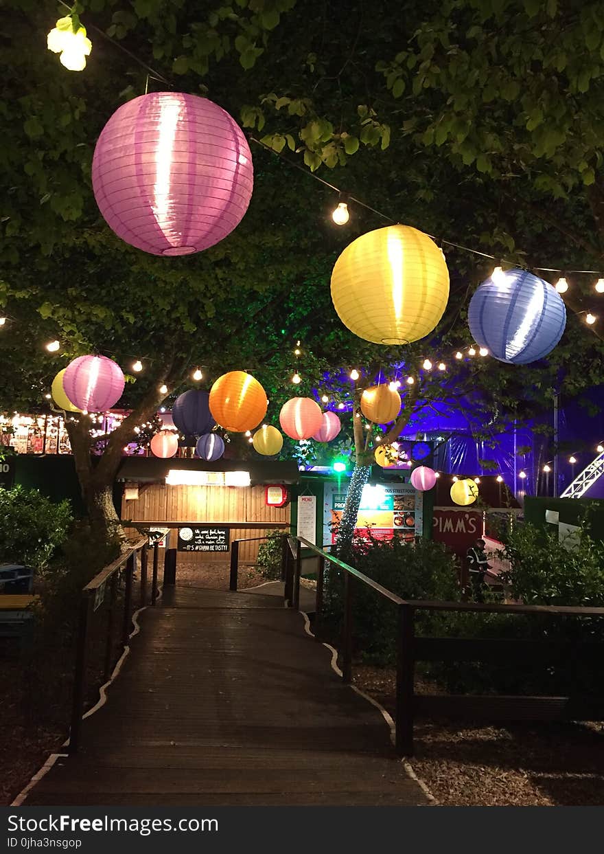 Assorted Hanging Paper Lamps