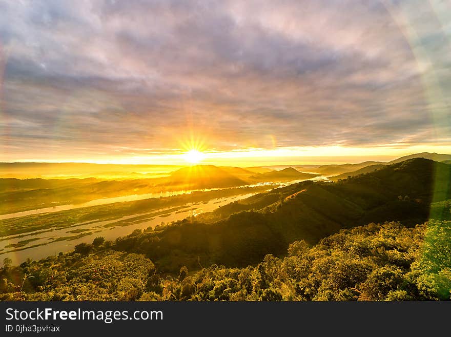 Green Trees Photo during Sunset