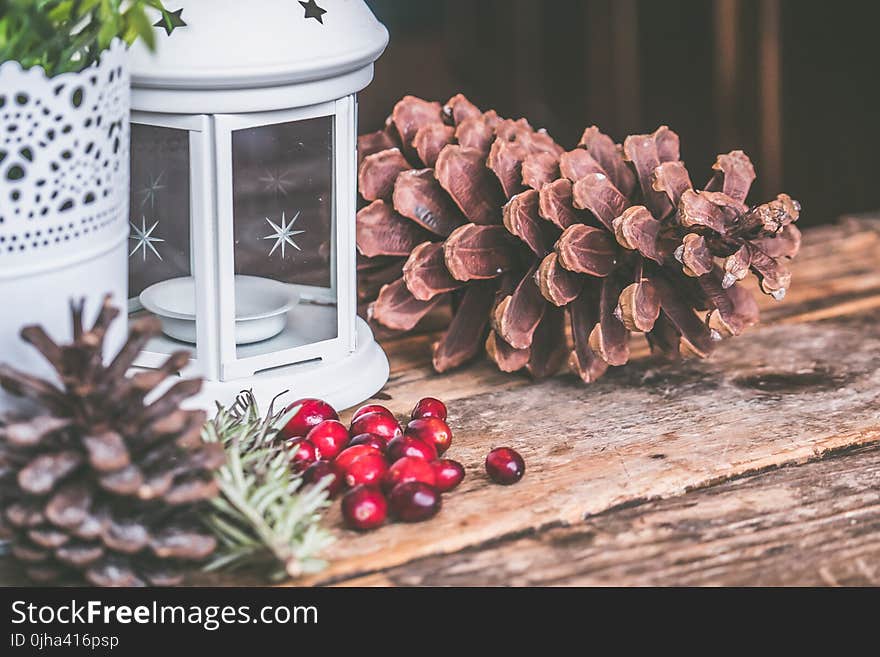 Brown Pinecone Beside Candle Lantern