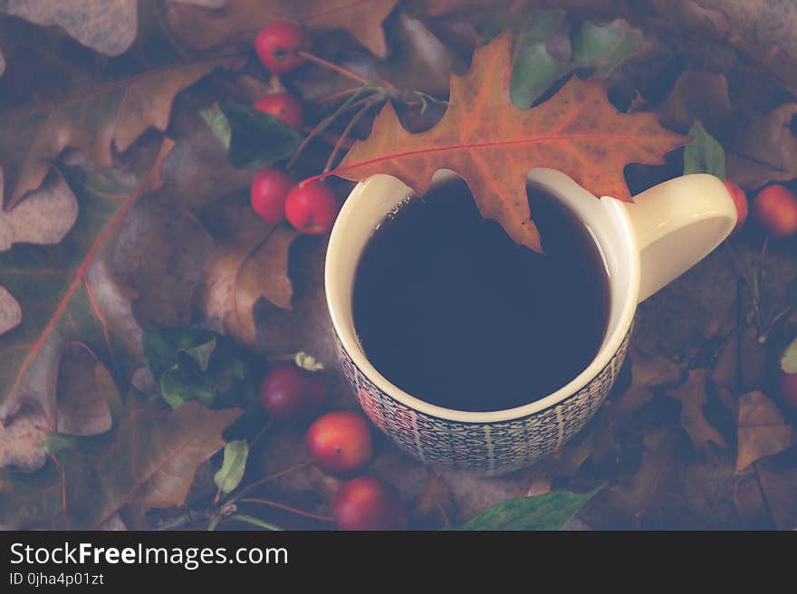 White Ceramic Mug With Brown Leaf