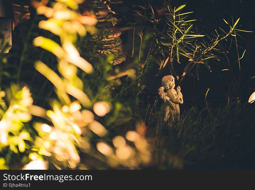 Angel Statue In the Grass