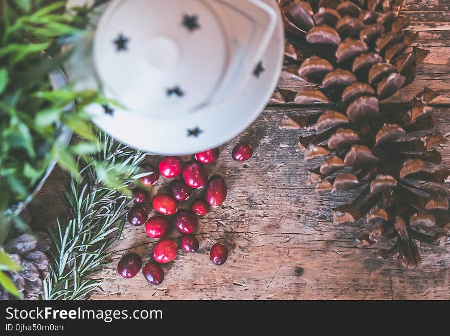 Pine Cone Beside Coffee Bean