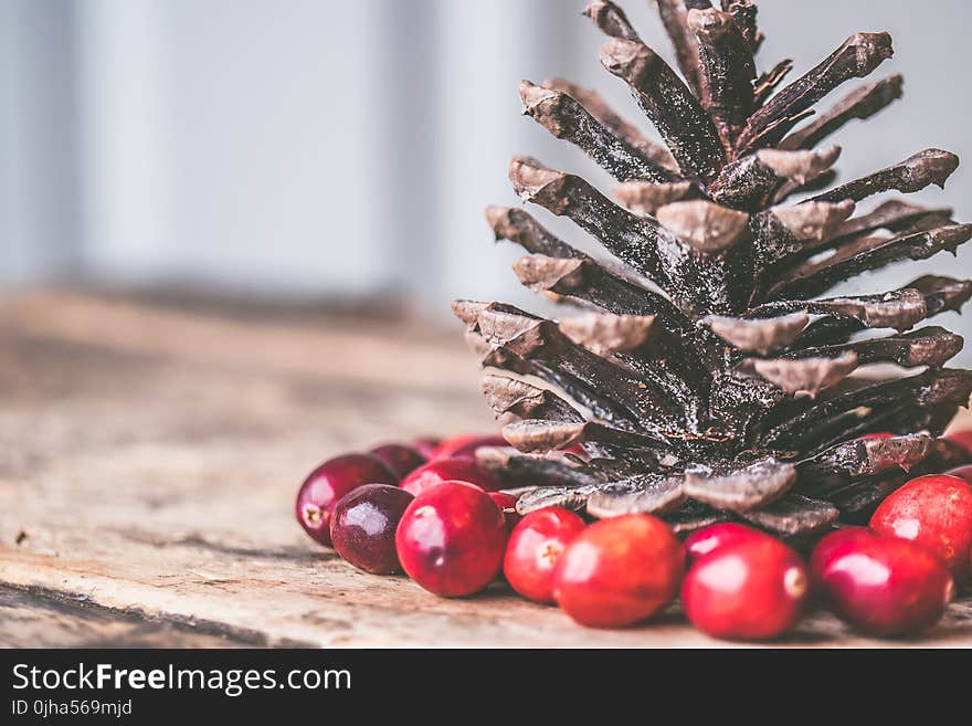 Pine cone Surrounded by Red Coffee Beans