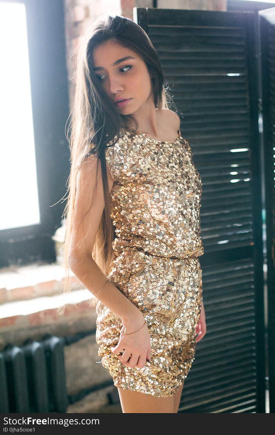 Woman Wearing Brown Sequined Sleeveless Dress