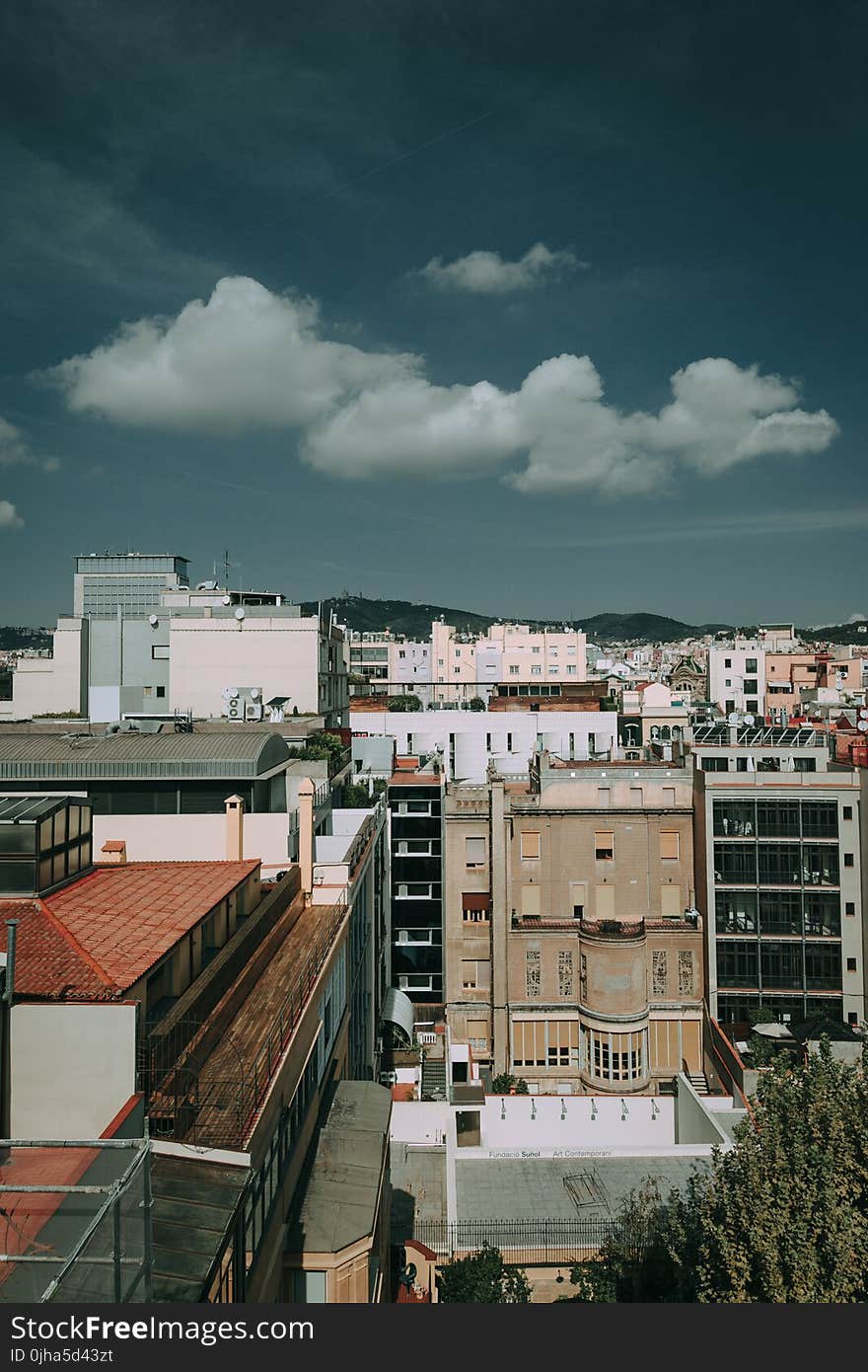 Brown, White, and Black Concrete High Rise Buildings