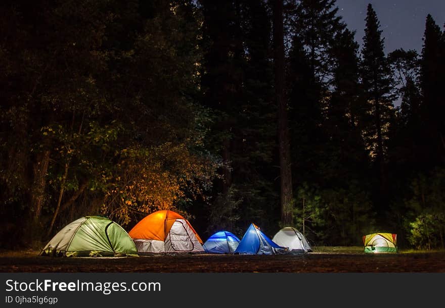 Six Camping Tents in Forest