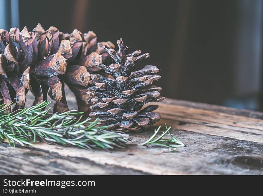 Two Brown Pine Cones on Brown Wooden Surface