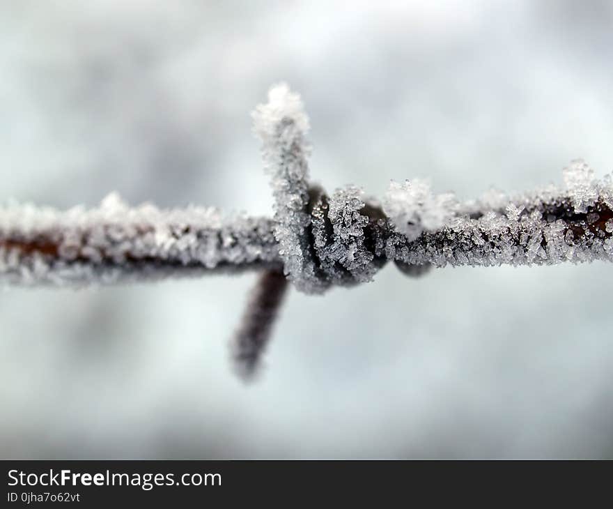 Closeup Photography of Ice Covered Metal Wire