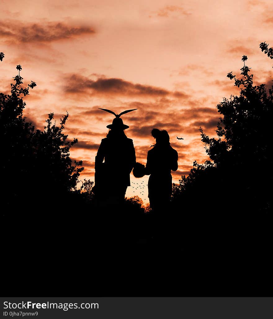 Silhouette Photography of Male and Female