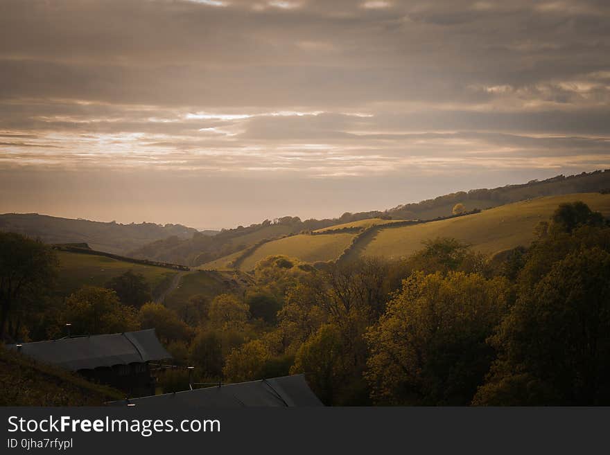 Green Leaf Trees Under Cloudy Sky