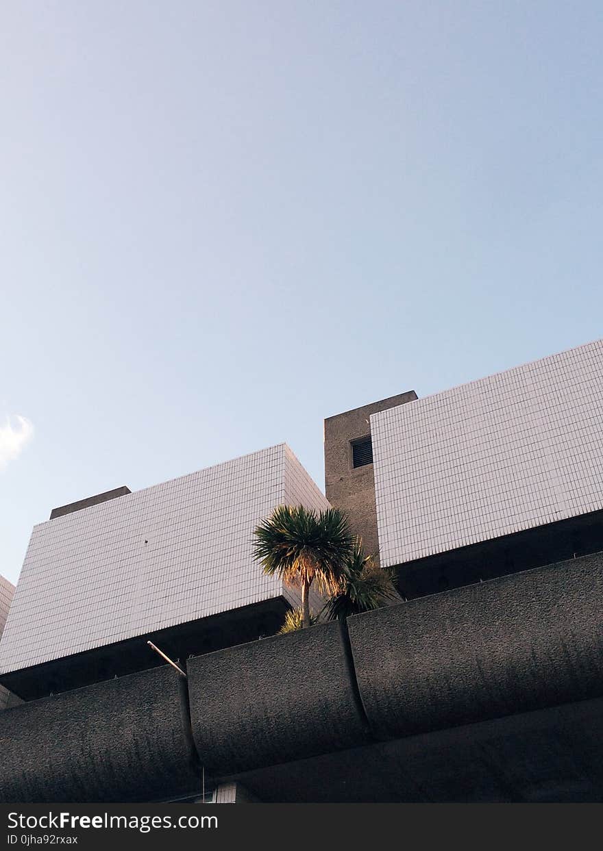 Low Angle Shot of Buildings