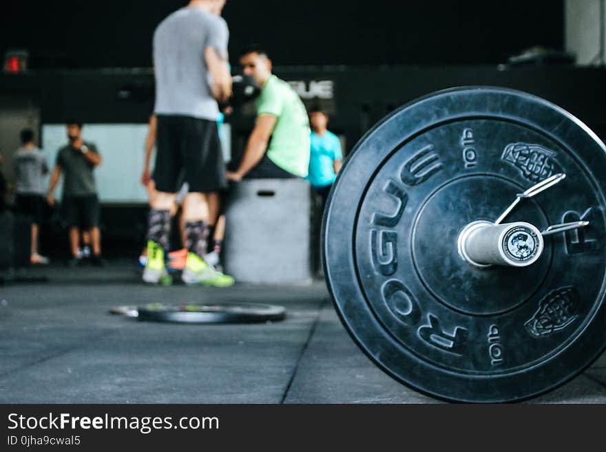 10 Lb Rogue Weight Plate Near People Gathered