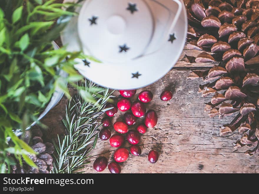 Holly Plant Berries Beside White Lantern