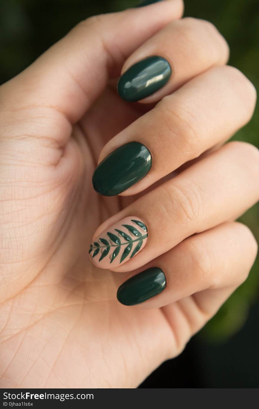 Green Manicure Art Close Up Photo